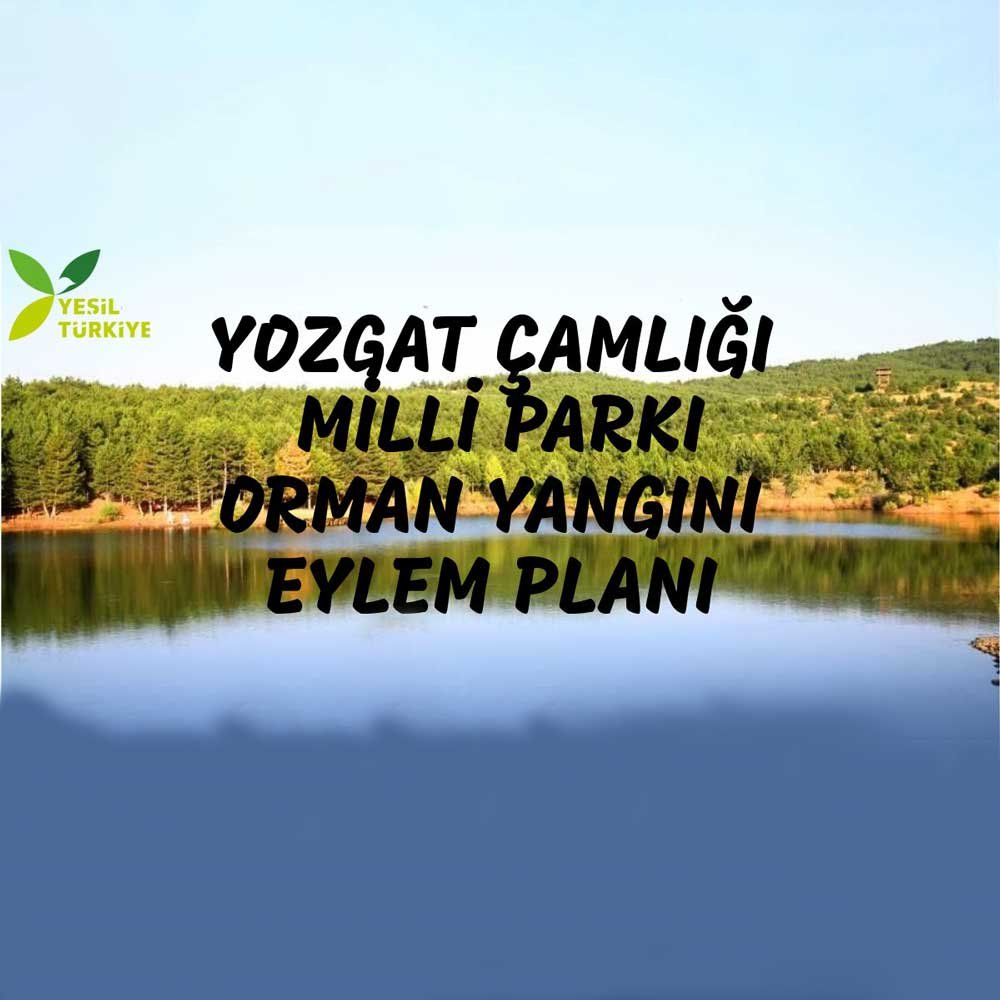 Milli Park Yangın Eylem Planı