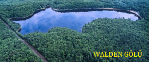 BİR BAŞYAPIT: WALDEN; YA DA ORMANDA YAŞAM