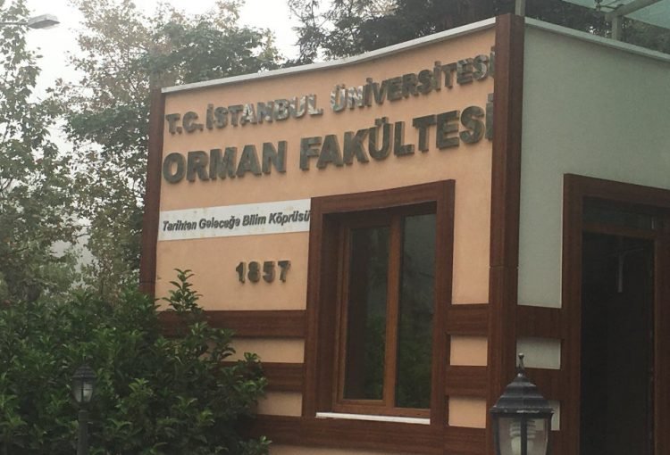 Orman Fakültesi, Orman Mühendisliği