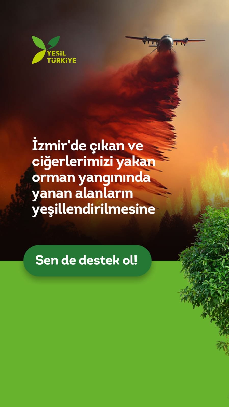 Orman Yangınlarına Merhem Ol